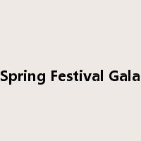 Spring Festival Gala是什么意思