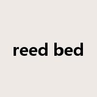 reed bed是什么意思