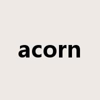 acorn是什么意思