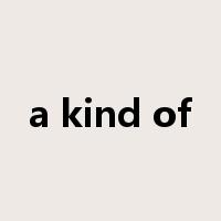 a kind of是什么意思