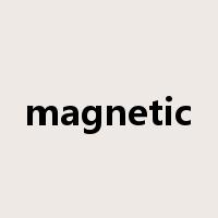 magnetic是什么意思