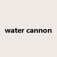 water cannon是什么意思