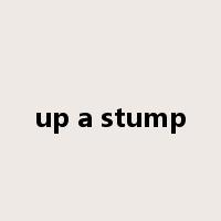 up a stump是什么意思