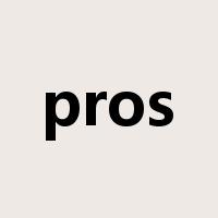 pros是什么意思