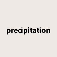 precipitation是什么意思