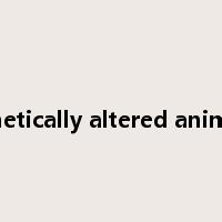 genetically altered animals是什么意思
