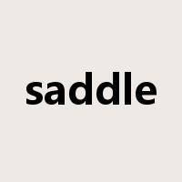saddle是什么意思