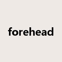 forehead是什么意思