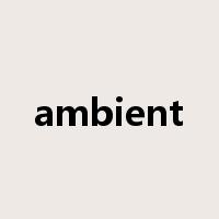 ambient是什么意思