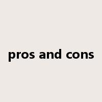 pros and cons是什么意思