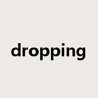 dropping是什么意思