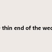 the thin end of the wedge是什么意思