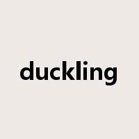 duckling是什么意思