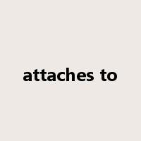 attaches to是什么意思