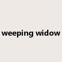 weeping widow是什么意思