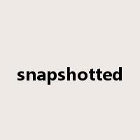 snapshotted是什么意思