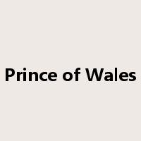 Prince of Wales是什么意思
