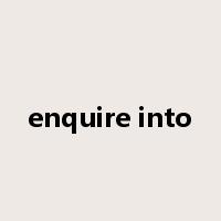 enquire into是什么意思
