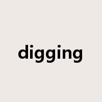 digging是什么意思