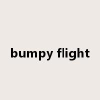 bumpy flight是什么意思