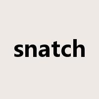snatch是什么意思