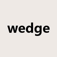 wedge是什么意思