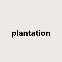 plantation