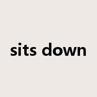 sits down是什么意思