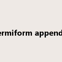 vermiform appendix是什么意思