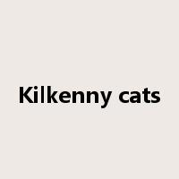 Kilkenny cats是什么意思