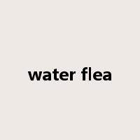water flea是什么意思