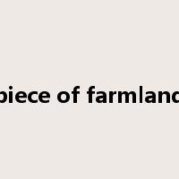 piece of farmland是什么意思