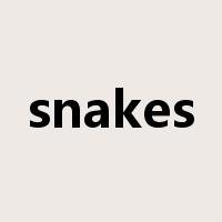 snakes是什么意思