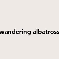 wandering albatross是什么意思