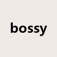 bossy是什么意思