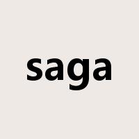 saga是什么意思