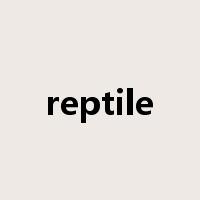 reptile是什么意思