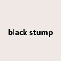black stump是什么意思