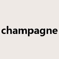 champagne是什么意思