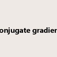 conjugate gradient是什么意思