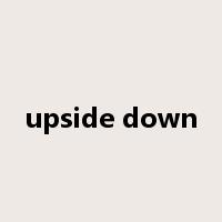 upside down是什么意思