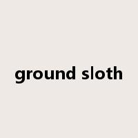 ground sloth是什么意思
