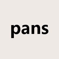 pans是什么意思