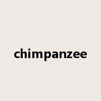 chimpanzee是什么意思