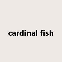 cardinal fish是什么意思