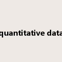 quantitative data是什么意思