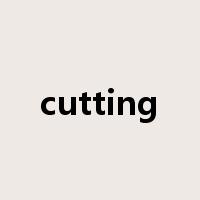 cutting是什么意思