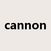 cannon是什么意思