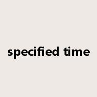 specified time是什么意思