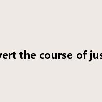 pervert the course of justice是什么意思